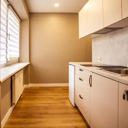 アパート Apartamentai S.neries 14 Alanga *