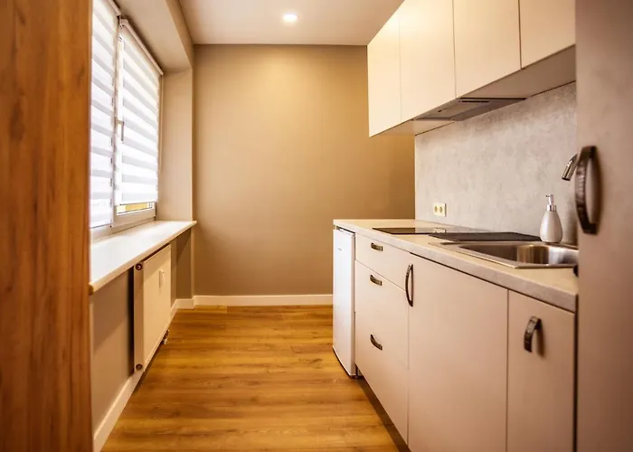 아파트 Apartamentai S.neries 14 Alanga *